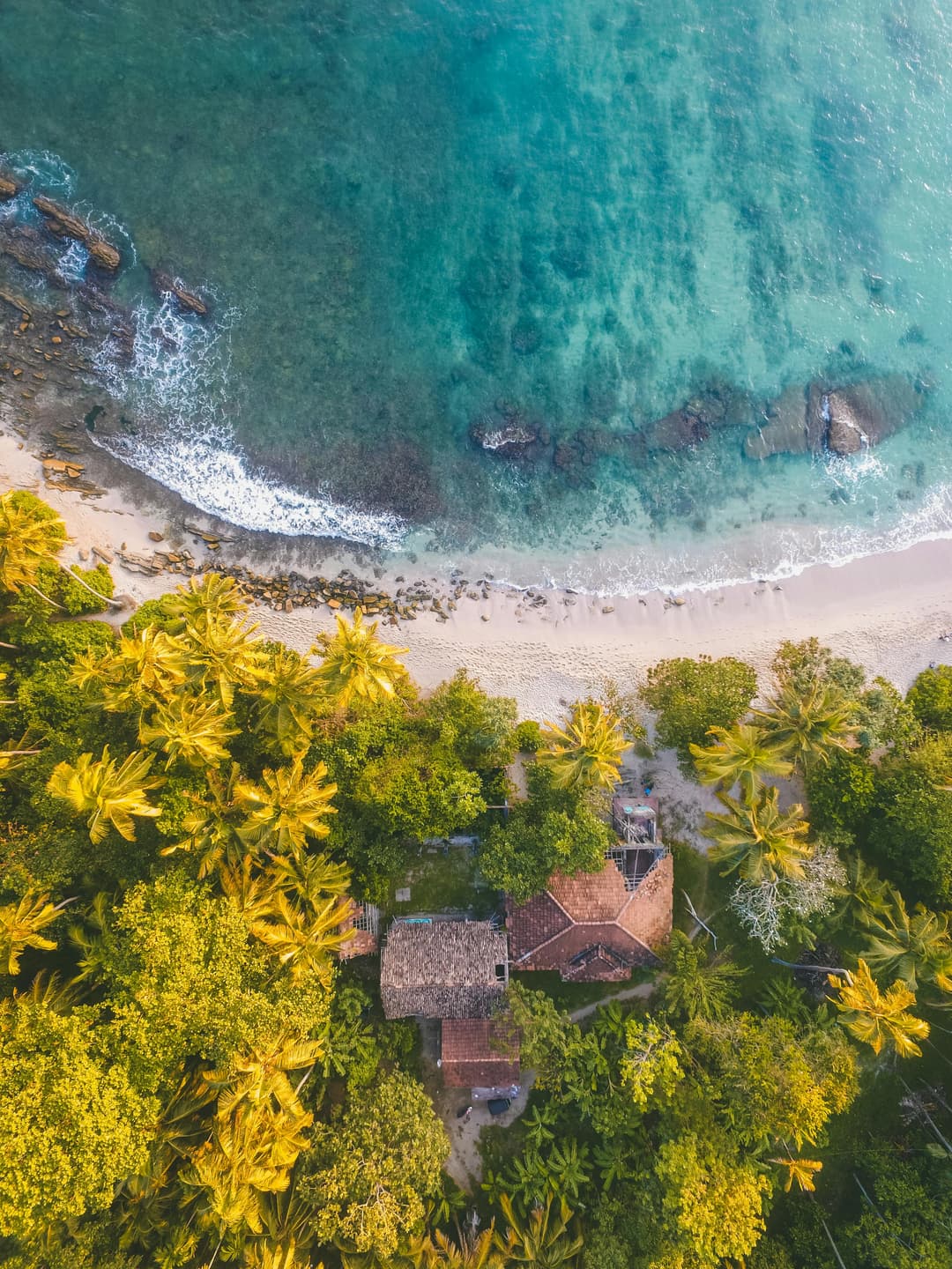 Tropical Serenity: A Week in Paradise
